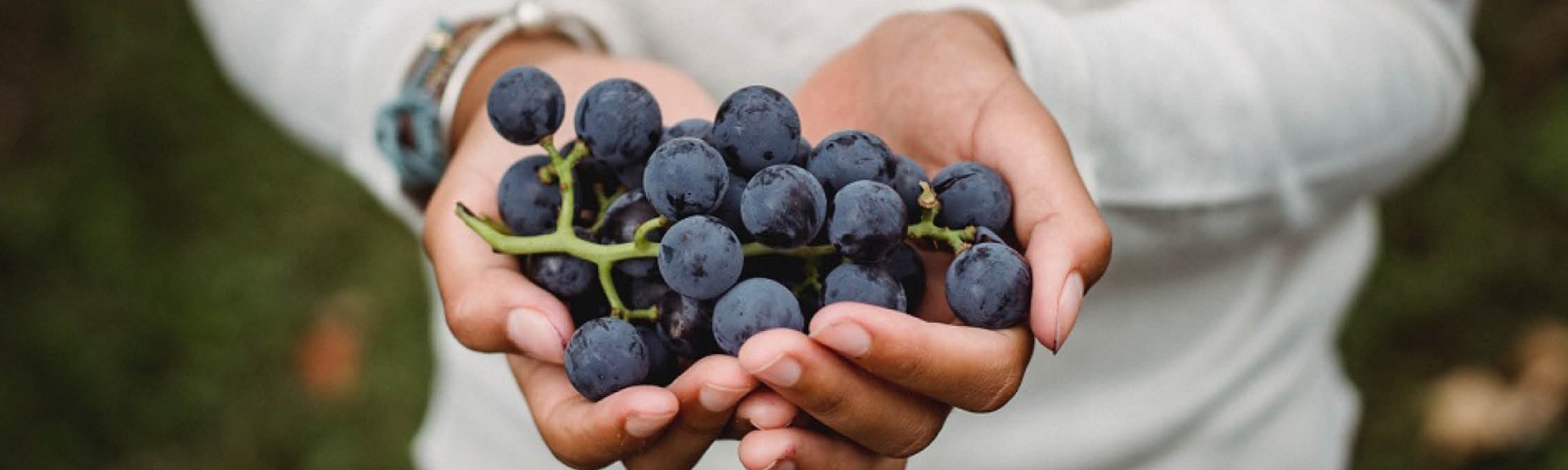 Woman Holding Wine Grapes