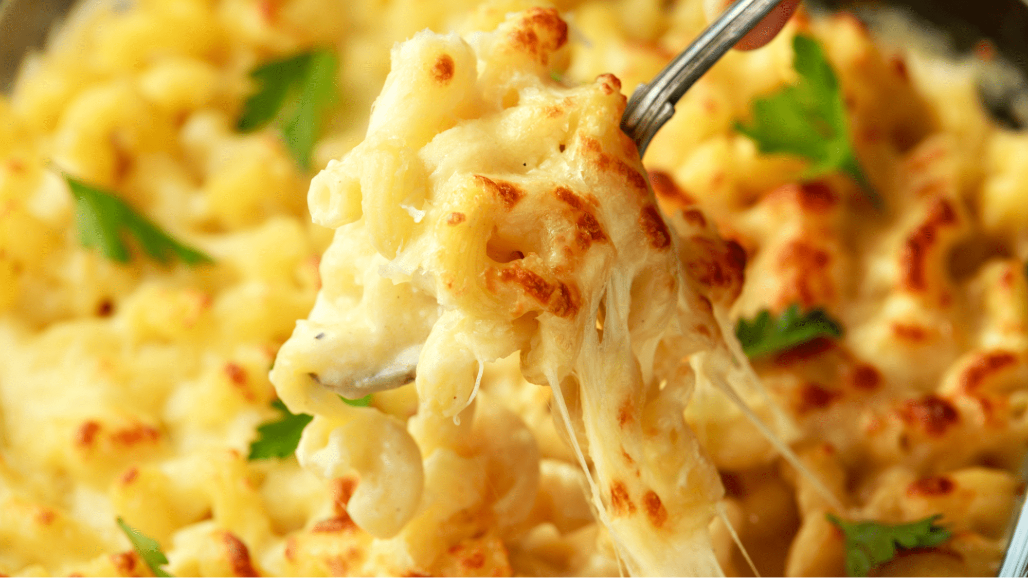 macaroni and cheese