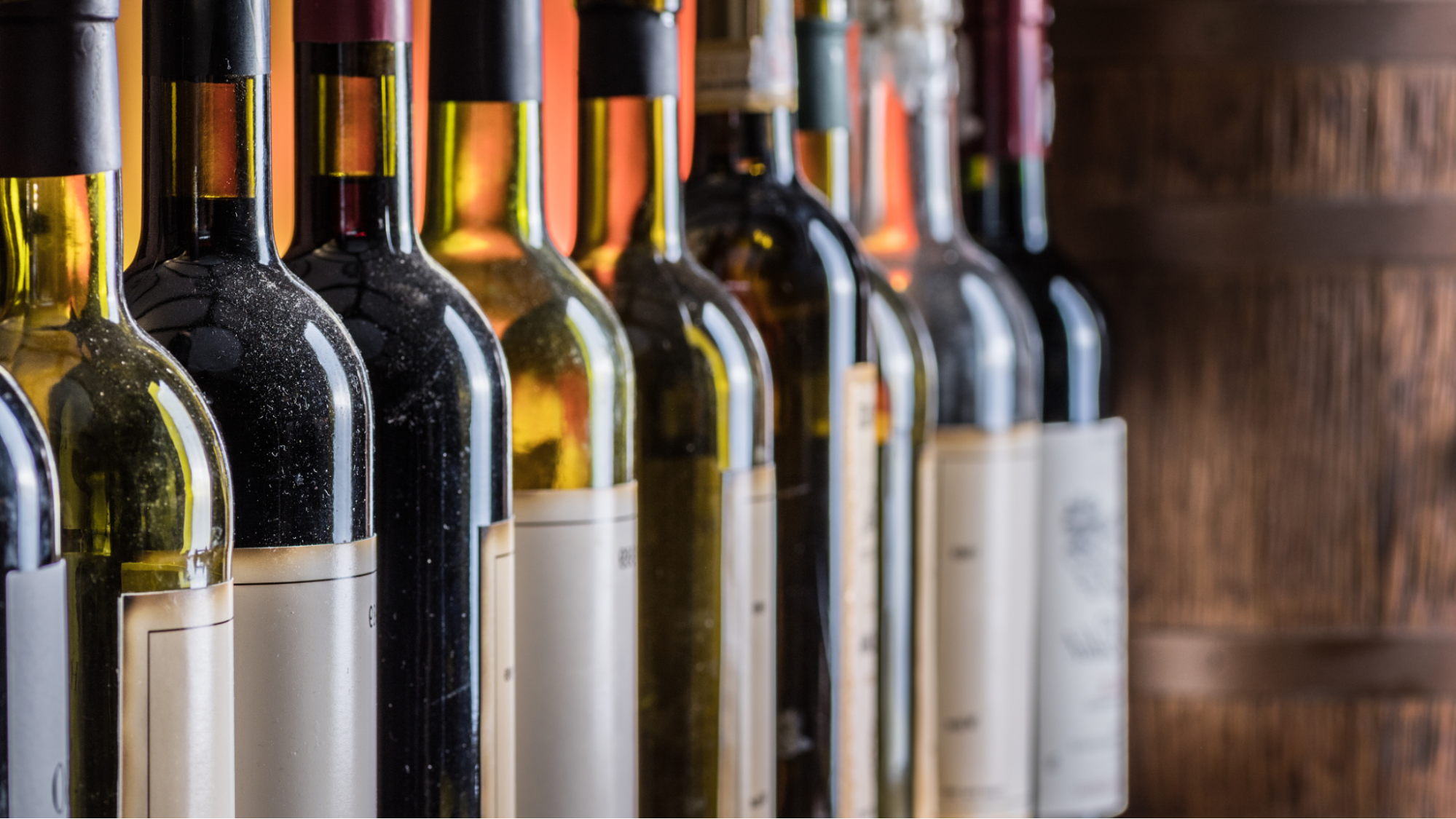 Wine bottles lined up in a row