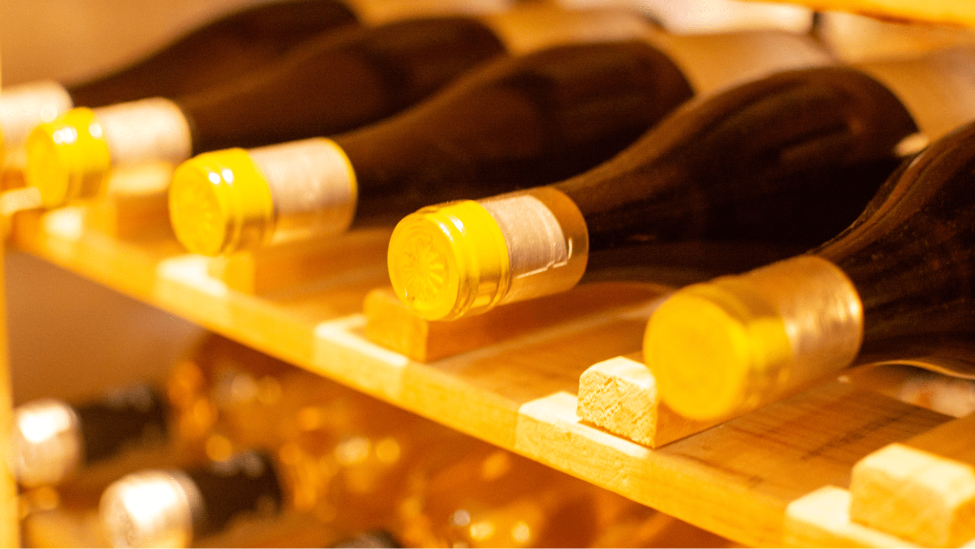 Wine bottles on a rack